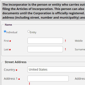 Provide the incorporator's details.