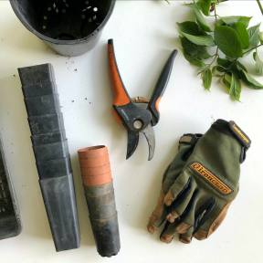 Purchase equipment.