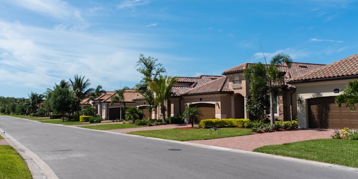 Homes with palm trees on street.