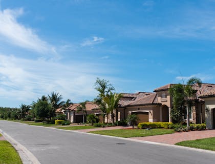 Homes with palm trees on street.