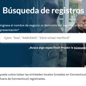 Realiza una búsqueda de empresas.