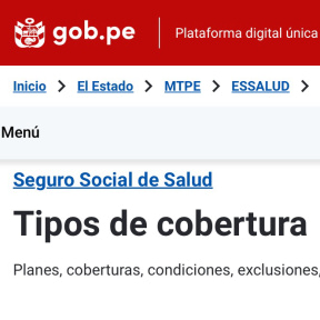 Registra a tus empleados ante el Seguro Social.
