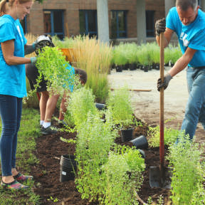 Investiga los tres tipos de negocios de jardinería.