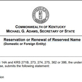 Reserve your business name.