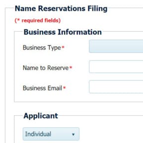 Reserve your business name.