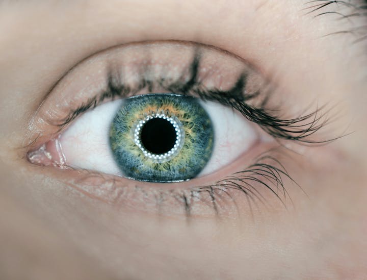 Retina Specialist Business Names