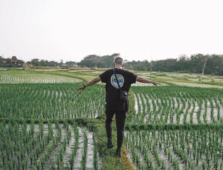 Rice Business Names