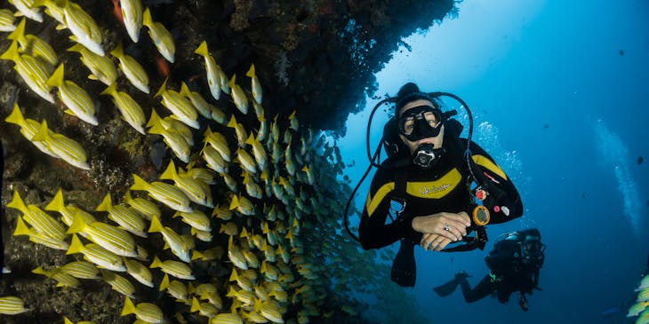 A person scuba diving with school of yellow fish.