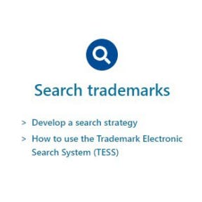 Search the USPTO database.