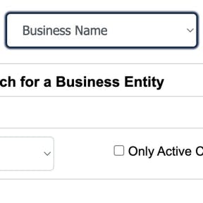Selecciona el campo “Nombre de Negocio".