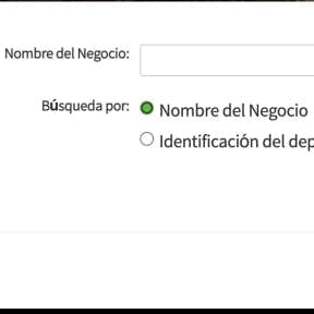 Selecciona la opción "Nombre del Negocio”.