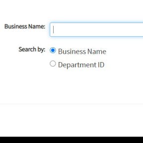 Select the "Business Name" option.