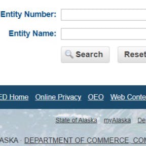 Select the "Entity Name" field.