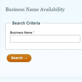 Select the "Name Availability" search type.