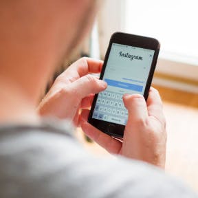 Set up social media accounts.