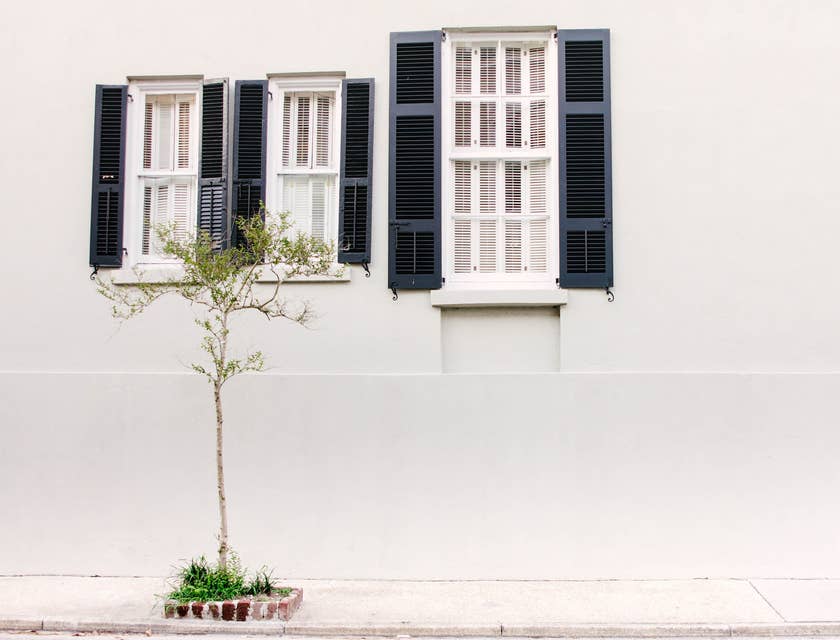 Persiane blu installate da un'azienda di persiane in una casa bianca con finestre bianche.