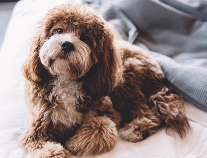 Sincere Business Names