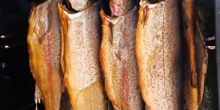 A group of smoked fish hanging in a smokehouse.