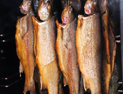 A group of smoked fish hanging in a smokehouse.