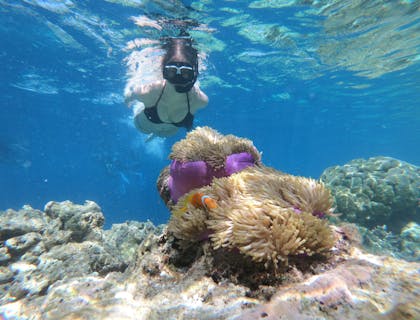 Uma mulher fazendo mergulho com snorkel.