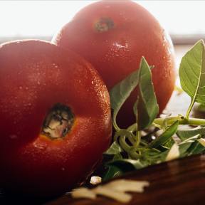 Source ingredients.