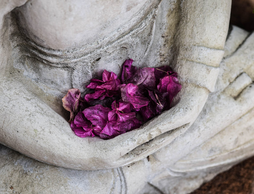 Alcuni petali di fiori sopra una statua religiosa e spirituale.