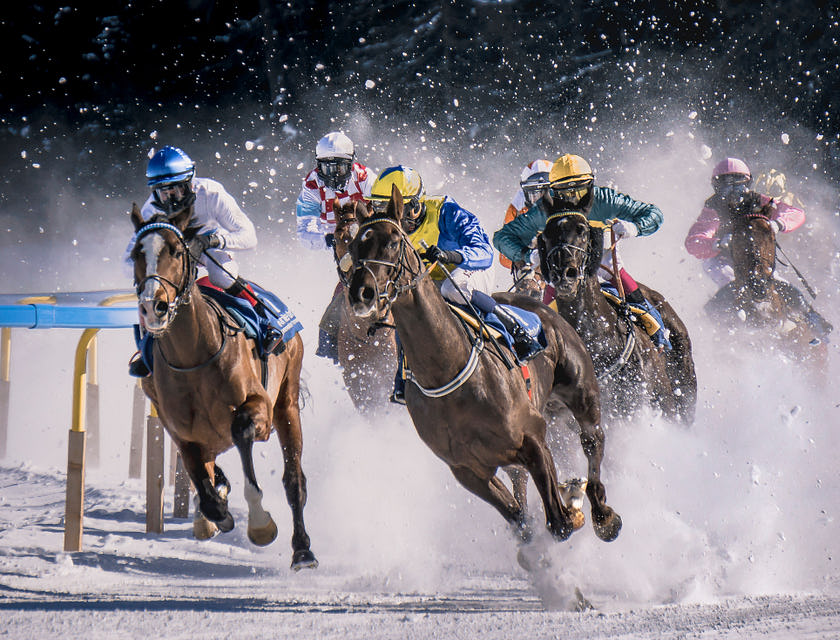 Una corsa di cavalli, sport tipico per le scommesse sportive.