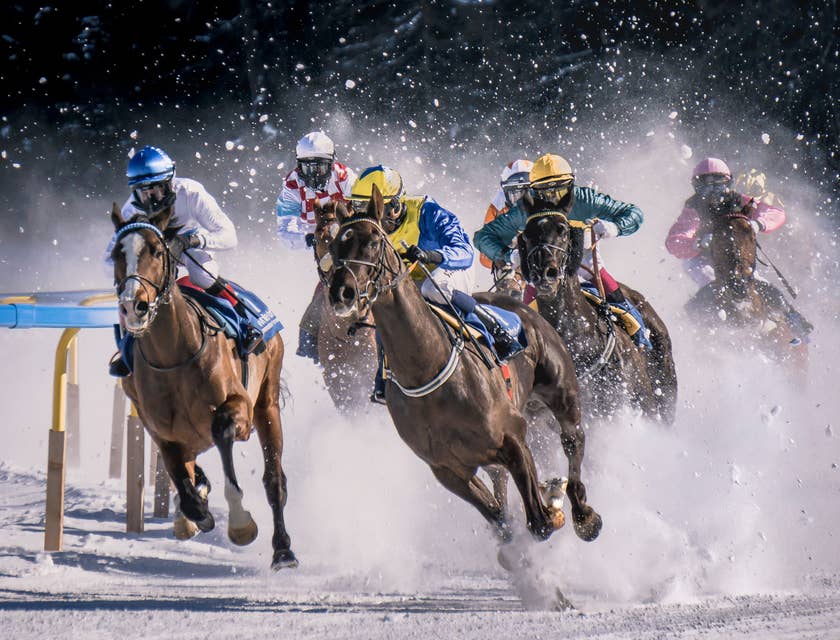 Una carrera de caballos en un negocio de apuestas deportivas.