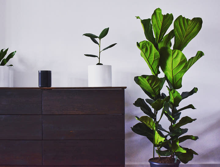 Nomes para lojas de móveis usados