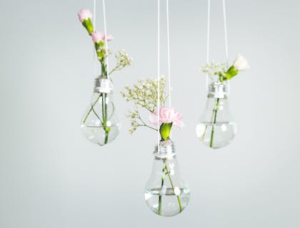 Una variedad de floreros hechos con focos reciclados que cuelgan del techo de un negocio de suprareciclaje.