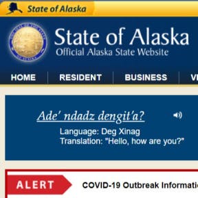 Use the Alaska online business search tool.