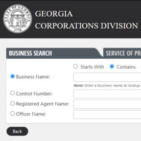 Navigate to the Georgia online business search tool.