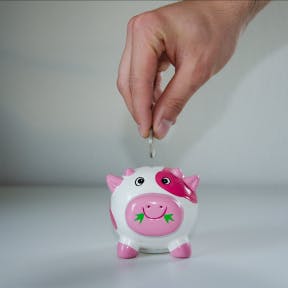 Use your own money.