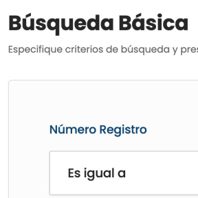 Utiliza la herramienta en línea para buscar el nombre de tu empresa.