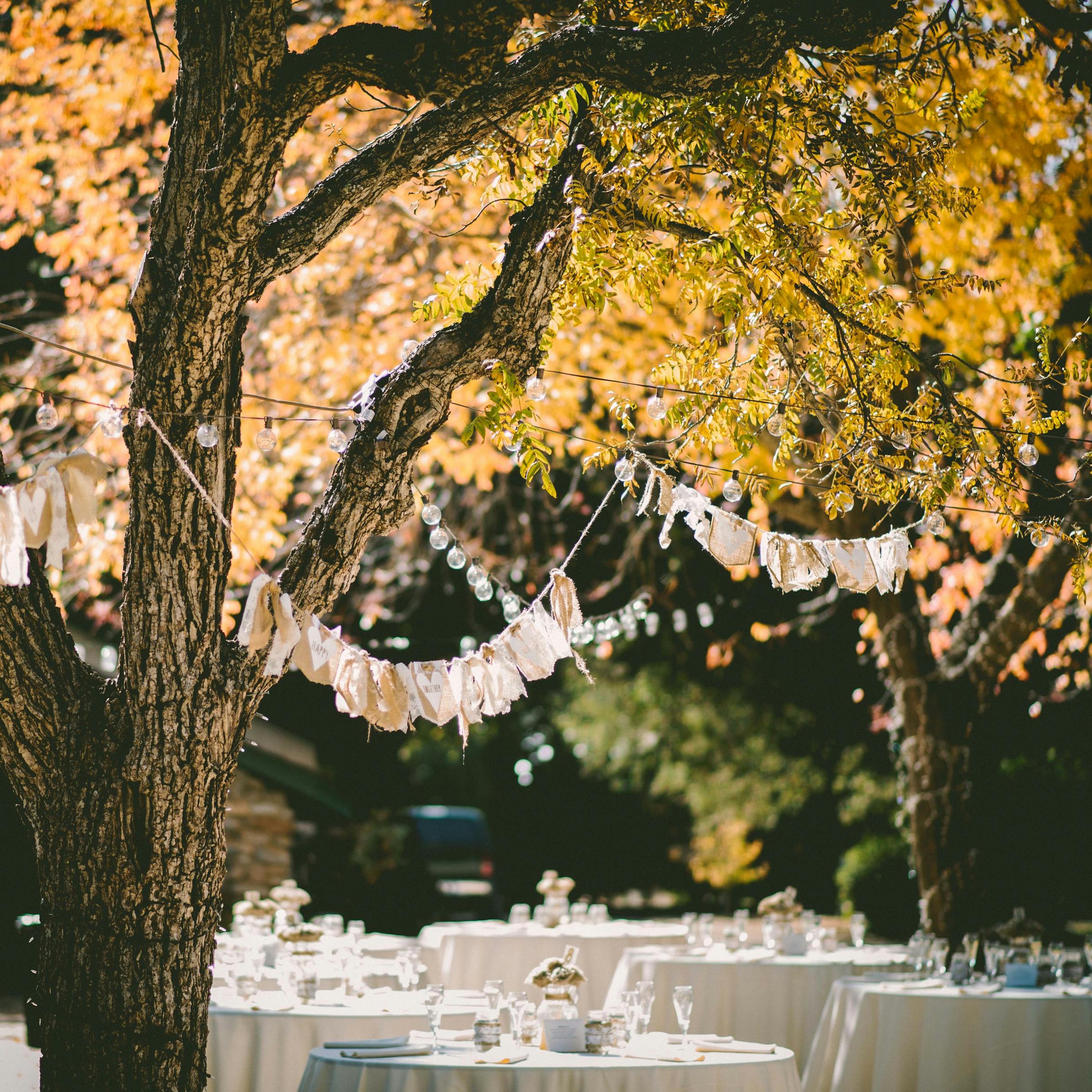 Wedding hall names | Honestweddingadvice.com Wedding hall names | Honestweddingadvice.com