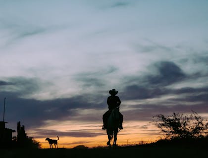 Silueta de un vaquero a caballo contra la puesta de sol en un negocio estilo western.