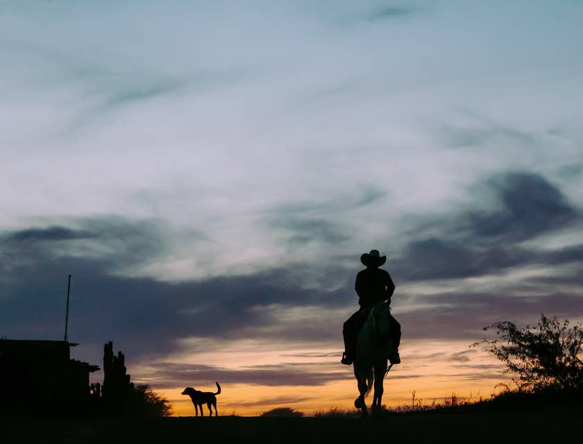 La silhouette di un cowboy che cavalca, in stile western, verso il tramonto.