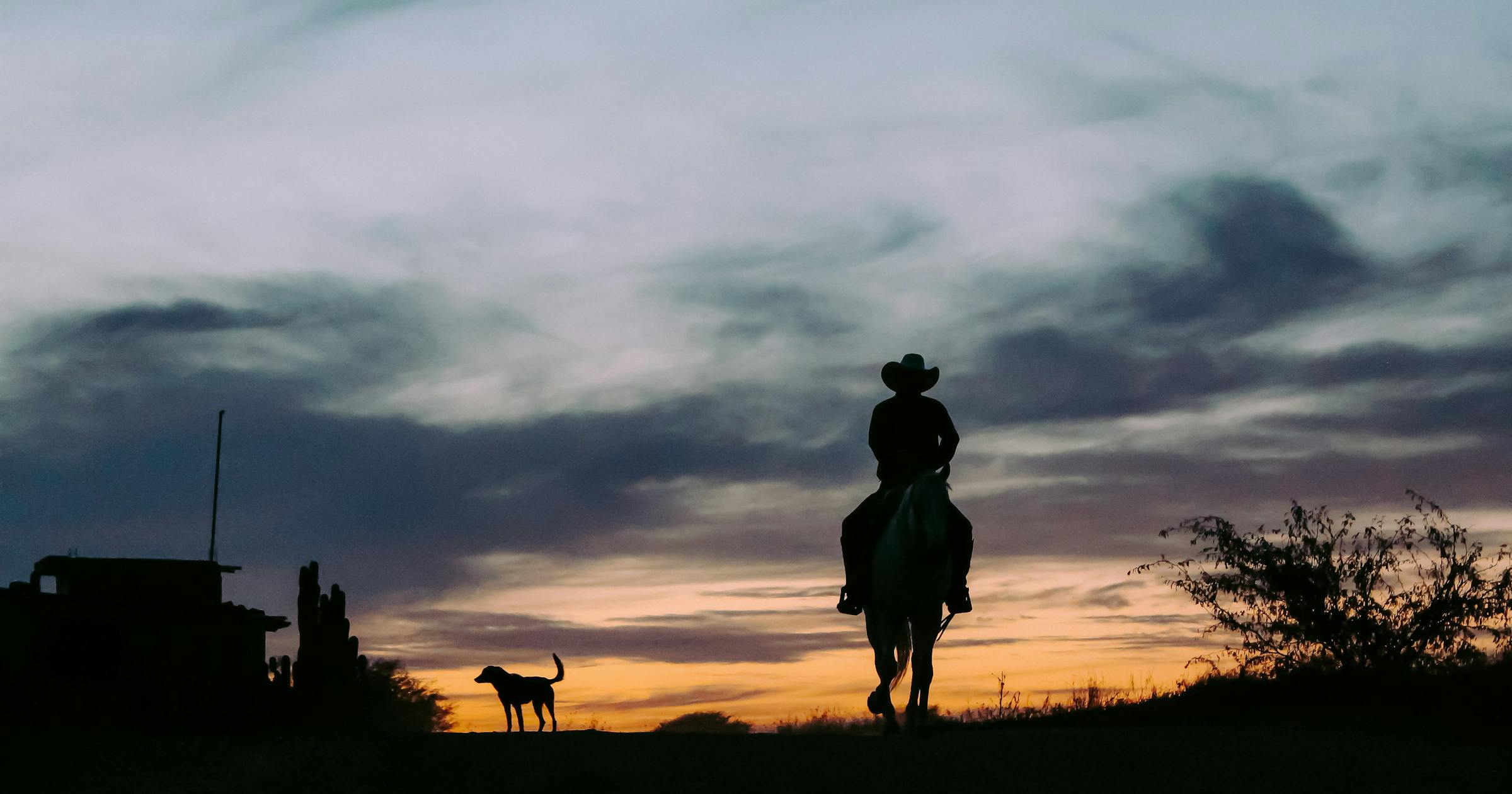 370-catchy-western-business-names-to-get-you-inspired