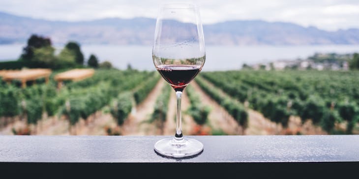 A glass of wine with vineyard in the background.