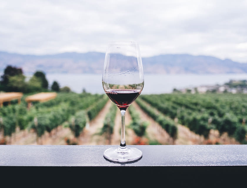 Una copa de vino frente a un viñedo en una empresa de vino.