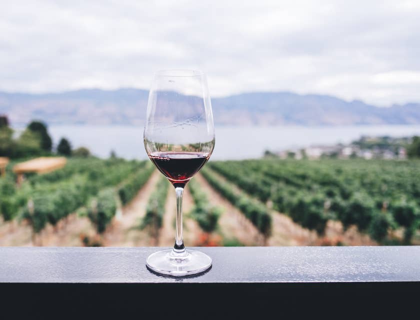 Un verre de vin avec un vignoble en arrière-plan.