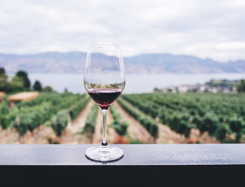 Una copa de vino frente a un viñedo en una empresa de vino.