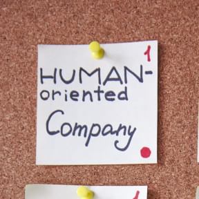 Write an executive summary.