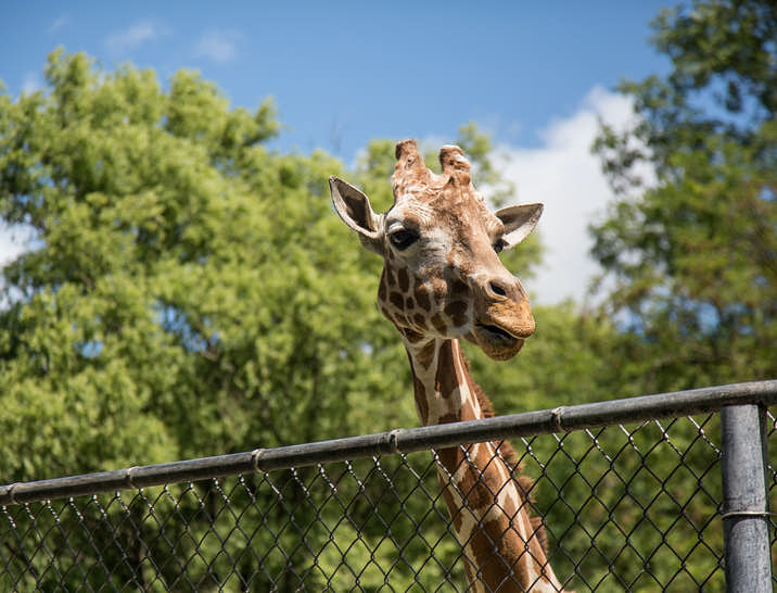 Noms de parc zoologique