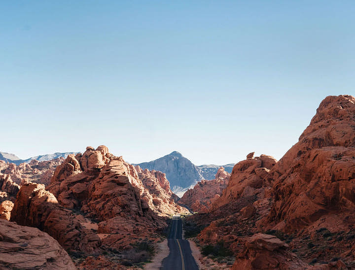 Nevada Business Search