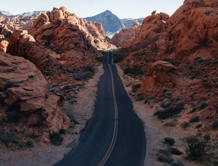 Nevada Business Search