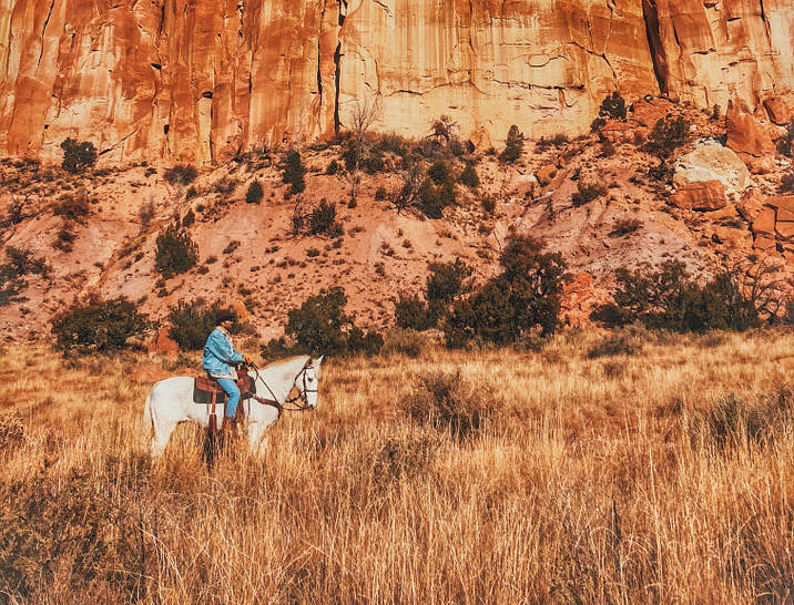 New Mexico Business Search