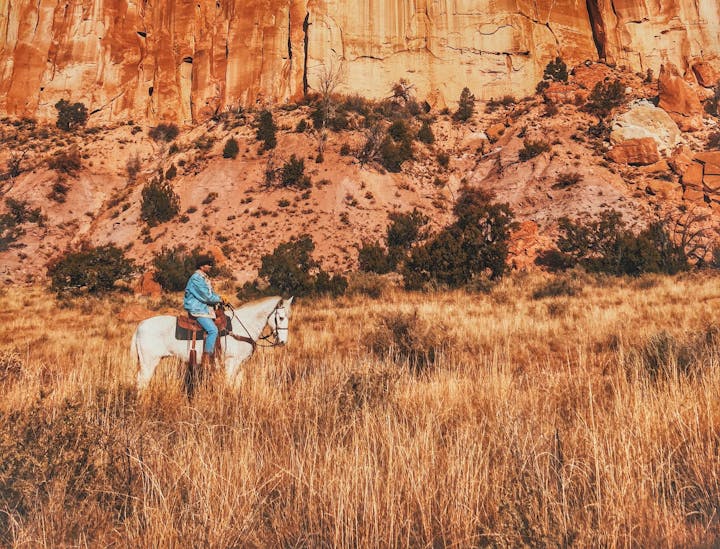 New Mexico Business Search