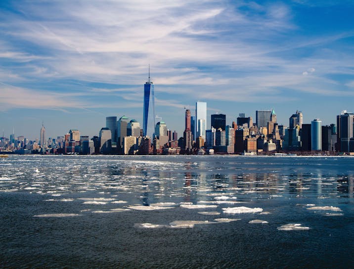 New York Business Search