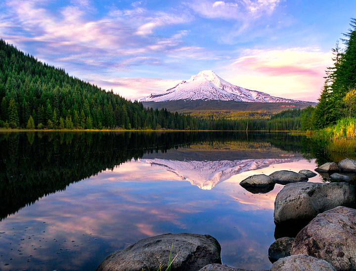 Oregon Business Search